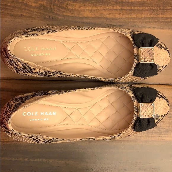 cole haan roccia snake print